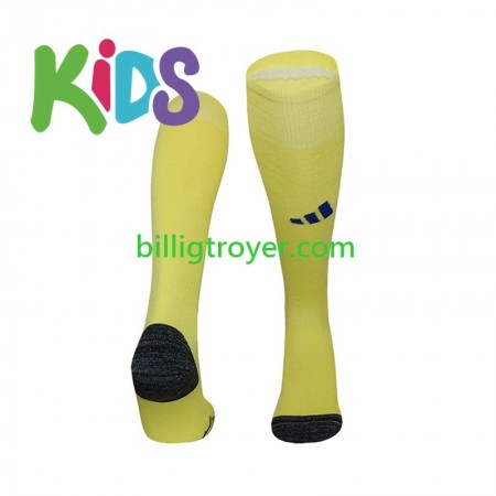 Al Nassr Barn Hjemme Strømpe 2024/25